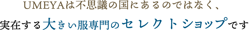 UMEYAは不思議の国にあるのではなく、実在する大きい服専門のセレクトショップです