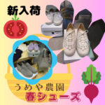 👟新しいシューズの替え時🤩🌷🌷🌷